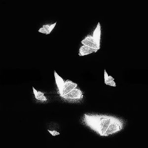 草莓视频深夜在线观看
